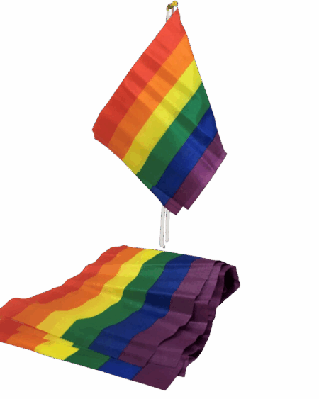 PRIDE - LGBT FLAG SMALL FLAG BANNER