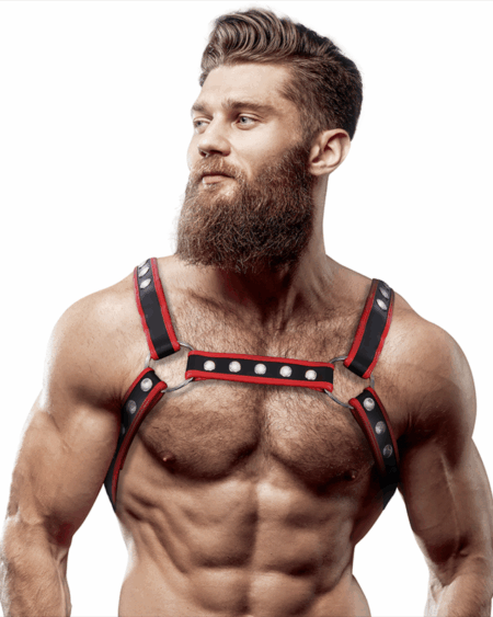 FETISH SUBMISSIVE ATTITUDE - MENS ECO-LEATHER CHEST BULLDOG HARNESS BLACK/RED
