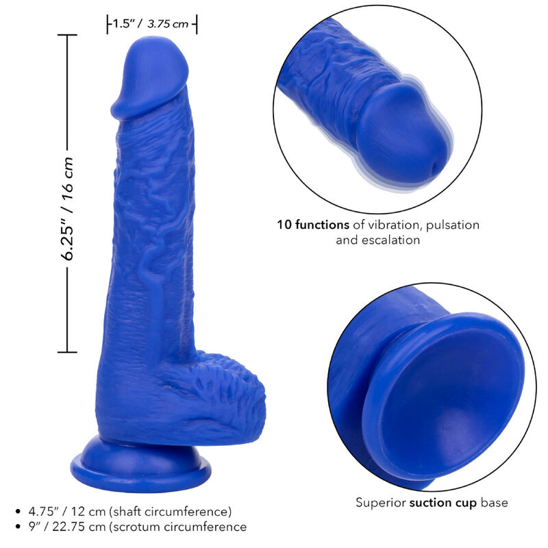 CALEXOTICS - ADMIRAL SAILOR REALISTIC DILDO VIBRATOR BLUE - Image 4