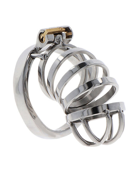 HIDDEN DESIRE - EXTREME CHASTITY COCK CAGE METAL
