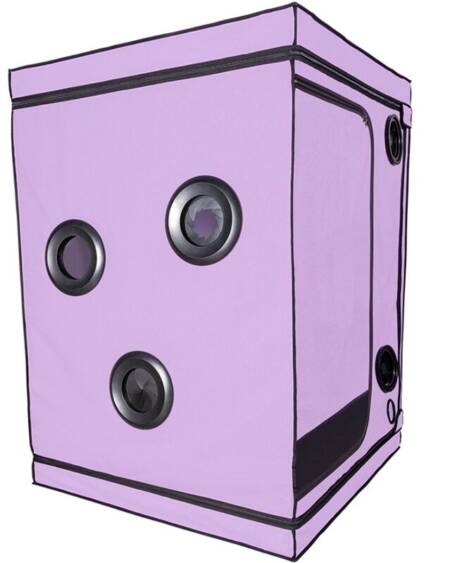 SECRET DOME - KINK CLUB CABIN SCANDALE PURPLE