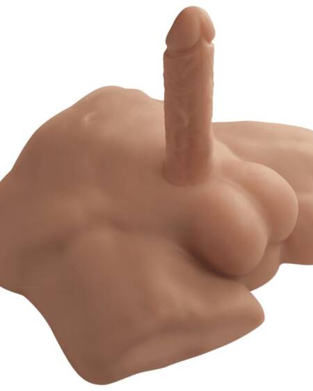 SILEXD - APOLLO S REALISTIC HALF MALE TORSO CARAMEL
