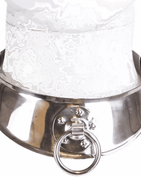 METAL HARD - RESTRAINT COLLAR WITH RING