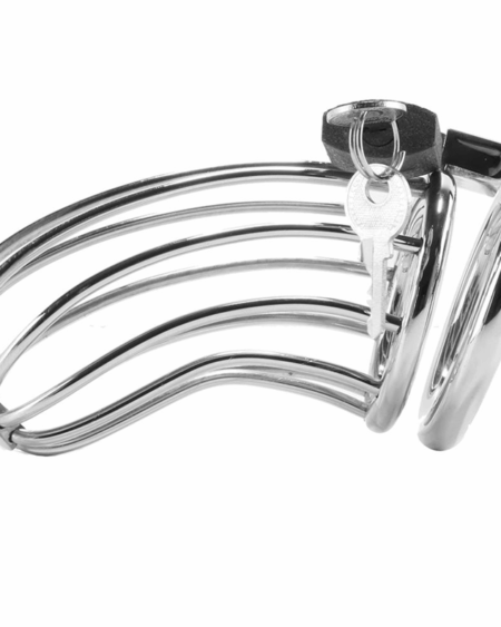 METAL HARD - BIRD CHASTITY RING CAGE