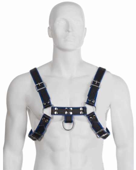 LEATHER BODY - BLUE AND BLACK LEATHER HARNESS CHEST BULLDOG